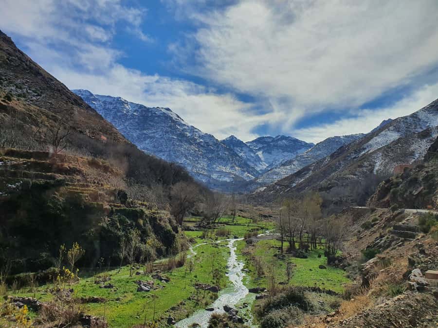 Marrakech: Atlas Mountains, Agafay Desert, Waterfall & Lunch - Lala Takerkoust and Your Camel Ride: The Most Relaxed Part