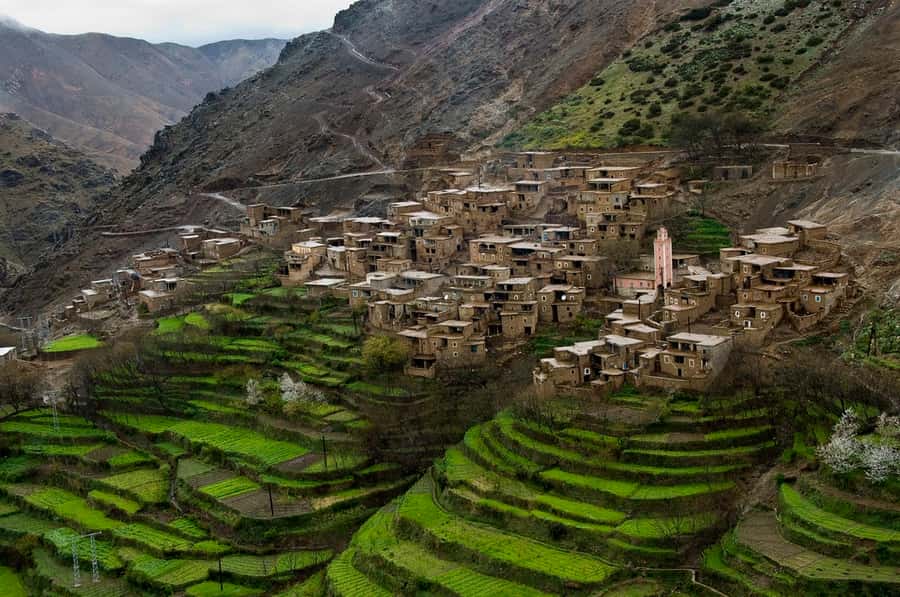 Marrakech: Atlas Mountains and Desert Safari with Lunch - Key points I’d plan around