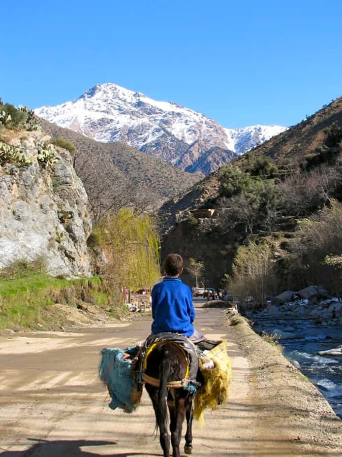 Marrakech: Atlas Mountains and Desert Safari with Lunch - Lalla Takerkoust region and the “in-between” views