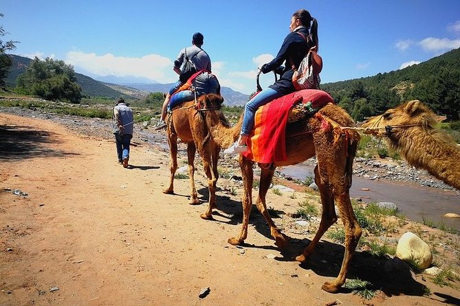 Marrakech: Atlas Mountains & Berber Villages Tour & Camel Ride - Key highlights to know before you go