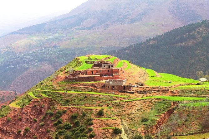 Marrakech: Atlas Mountains & Berber Villages Tour & Camel Ride - Imlil and the Ifrane Atlas Saghir Area: Mint Tea, Orchards, and Waterfall Chances