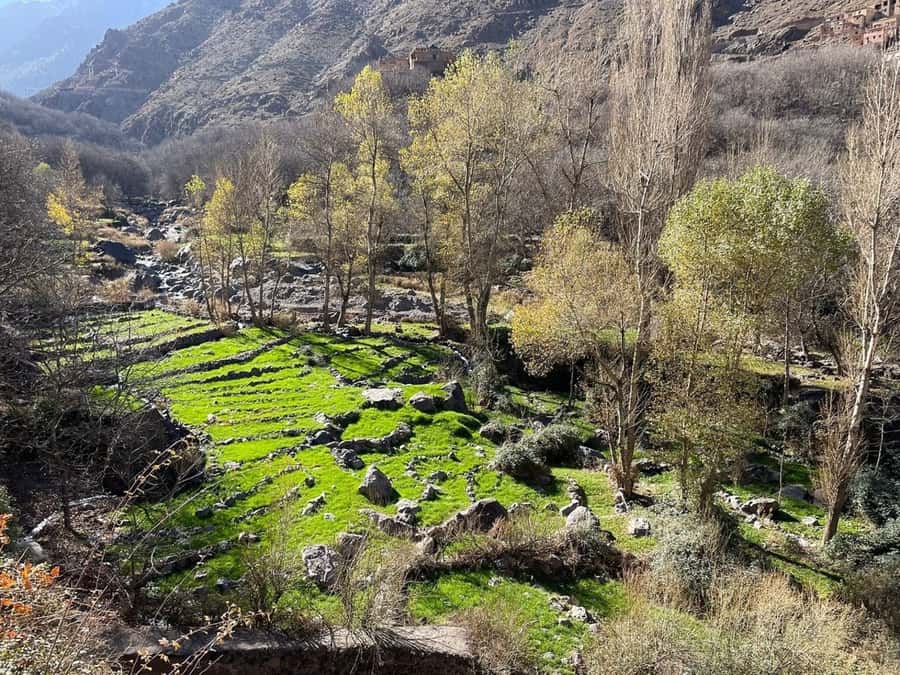 Marrakech: Atlas Mountains, Camel Ride, Waterfalls, & Lunch - A practical checklist for your Atlas day