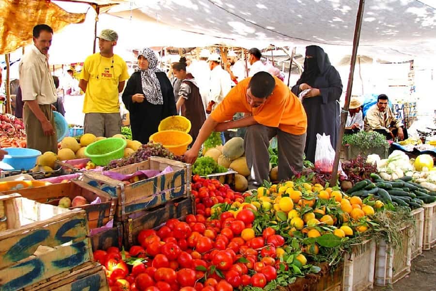 Marrakech: Atlas Mountains, Camel Ride, Waterfalls, & Lunch - Lunch in a Berber House: tajine, couscous, and how hospitality shows up