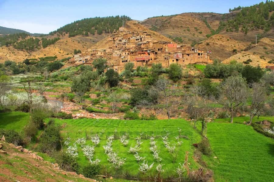 Marrakech: Atlas Mountains Day Trip, 3 Valleys & Waterfalls - The 2.5-hour walk: views, stairs, and how to pace yourself