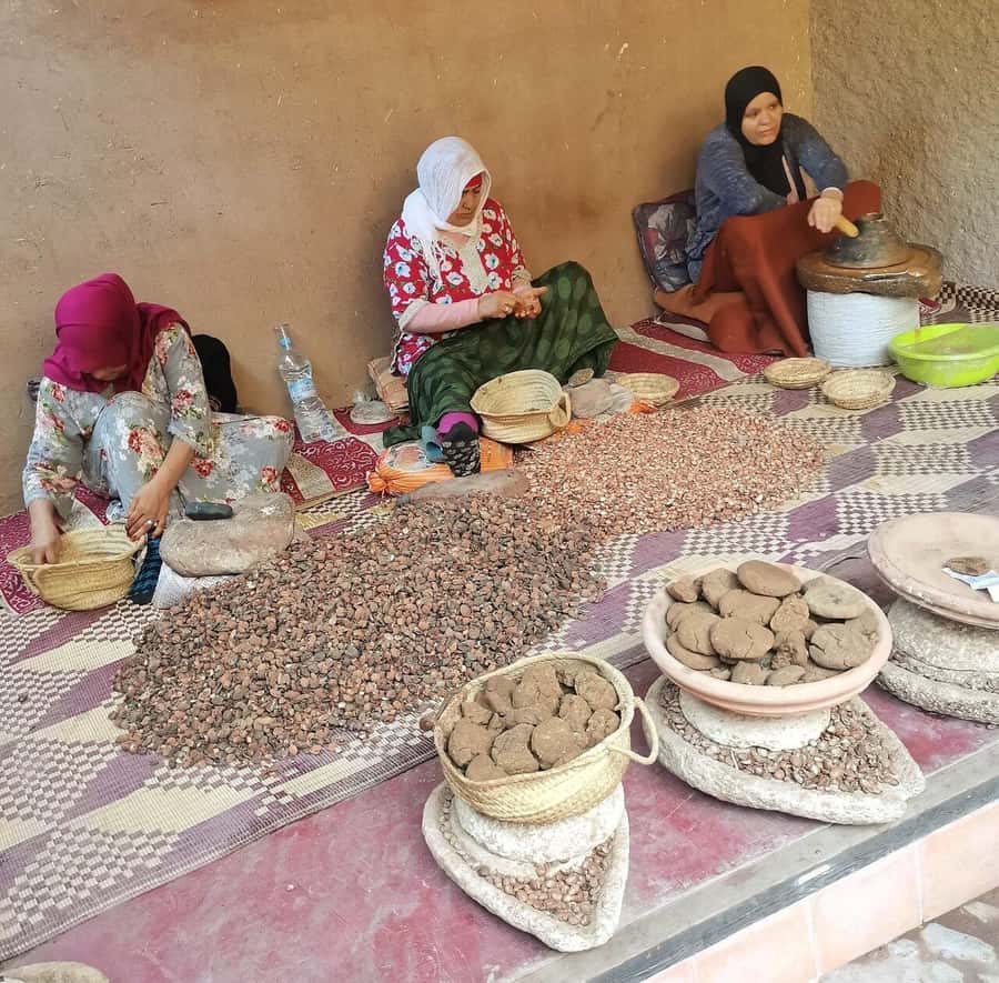 Marrakech: Atlas Mountains, Ourika Valley, Waterfall & Guide - Key things I’d plan for