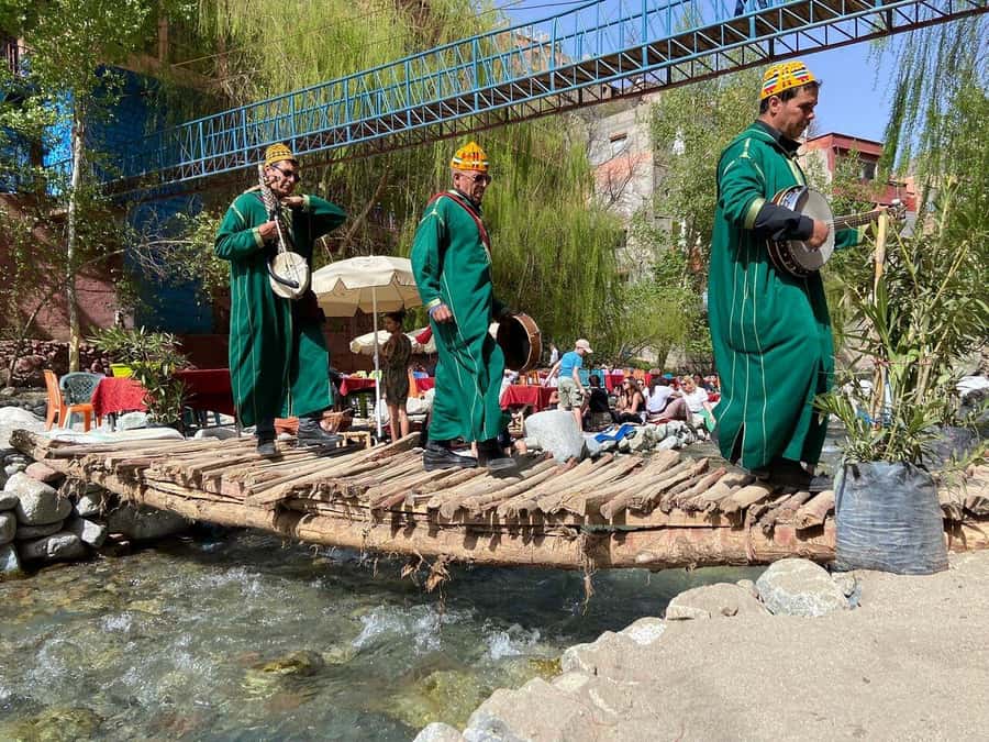 Marrakech: Atlas Mountains, Ourika Valley, Waterfall & Guide - Argan oil cooperative: Where the products come from