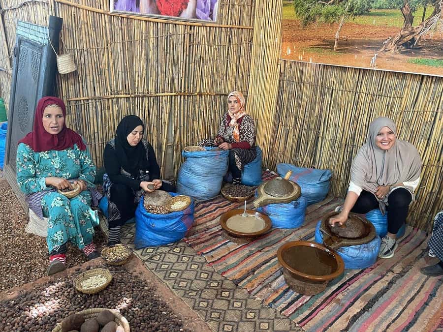 Marrakech: Atlas Mountains, Ourika Valley, Waterfall & Guide - Price and value: Why $14 makes this trip hard to beat