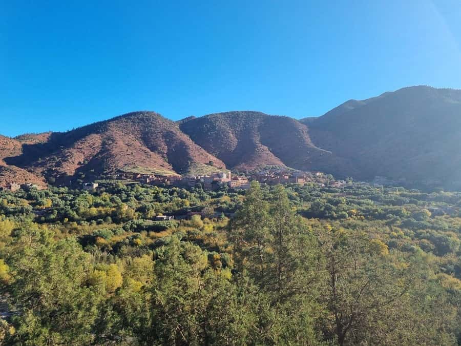 Marrakech: Atlas Mountains, Ourika Valley, Waterfall & Lunch - Tnin Ourika: a stop for browsing and a taste of village rhythm