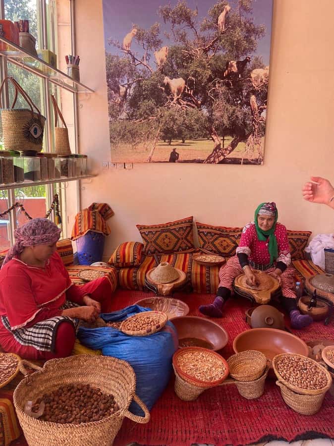 Marrakech: Atlas Mountains, Ourika Valley with Guide & Lunch - Setti Fadma Village Walk: Smaller Moments in the Mountains