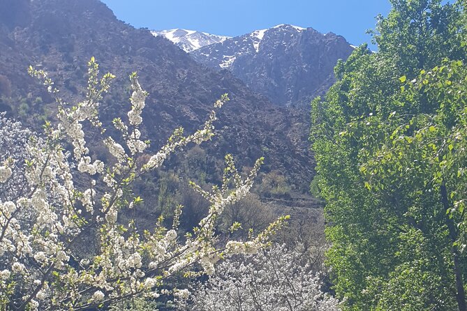Marrakech: Atlas Mountains, Ourika Waterfalls,Local Guide & Lunch - Argan oil at the women’s co-operative, optional but worth your attention