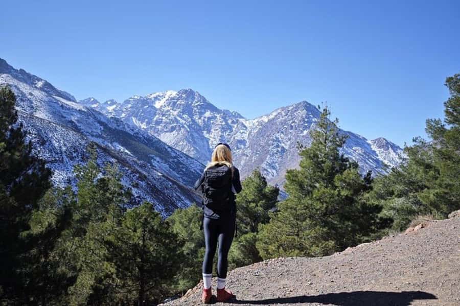 Marrakech: Atlas Mountains Summit Day Trek 2700m - Reaching the Talamrout summit at 2700m