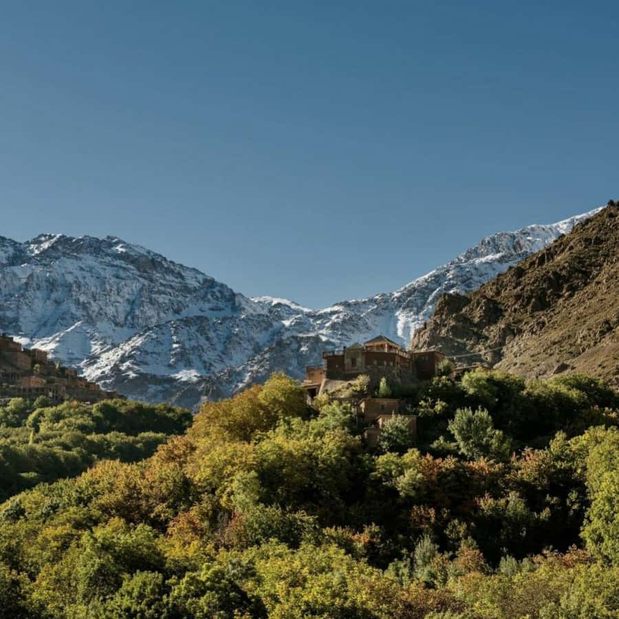 Marrakech: Atlas Mountains & Valleys Waterfall Hike w/ Lunch - Should you book the Atlas Mountains and Imlil lunch hike?