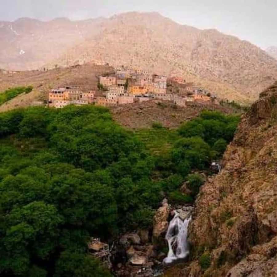 Marrakech: Atlas Mountains & Valleys Waterfall Hike w/ Lunch - Argan oil cooperative visit: what you learn, and how it helps local women