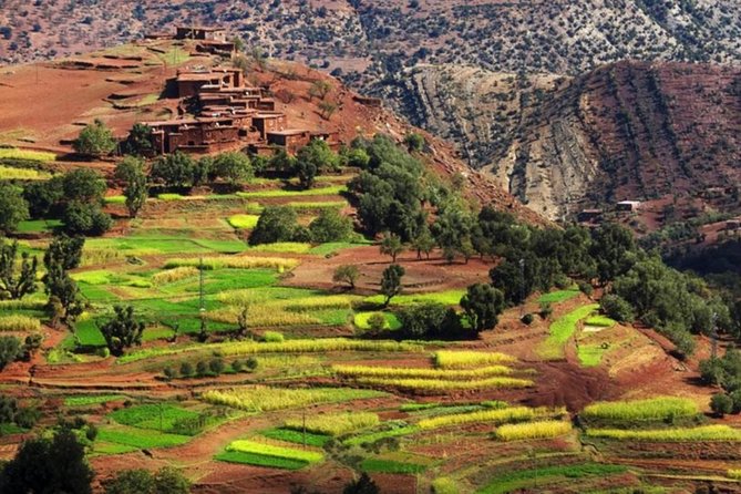 Marrakech: Atlas Mountains & Villages, Waterfalls, Camel Ride - Naqab Waterfall and the Ourika Valley return drive