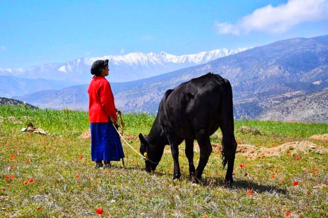 Marrakech: Atlas Mountains & Villages, Waterfalls, Camel Ride - Marrakech faith stops, from mosque to Jewish heritage to a European-style church