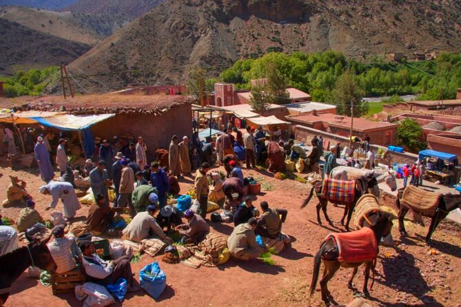 Marrakech: Atlas Mountains & Villages, Waterfalls, Camel Ride - Guides and group size: the value of small numbers