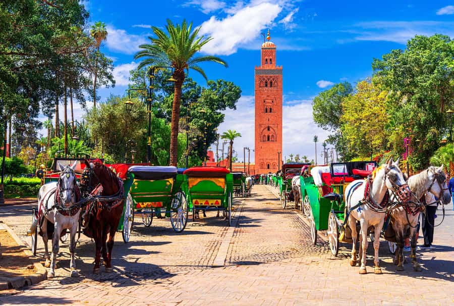 Marrakech: Bahia Palace, Madrasa Ben Youssef & Secret Garden - Key things I’d plan around