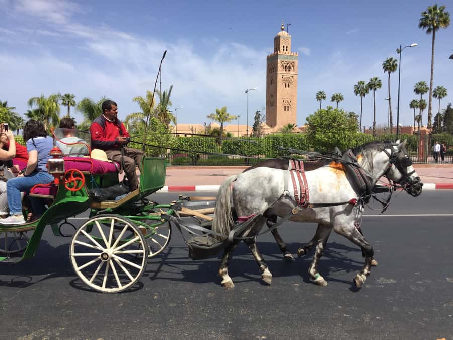 Marrakech: Bahia Palace, Saadian Tombs, & Koutoubia Mosque - Key things to notice before you go