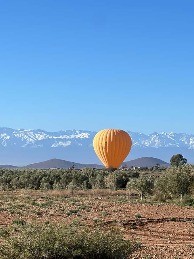 Marrakech: Balloon Flight, Berber Breakfast & Certificate - The certificate: a small souvenir with real staying power