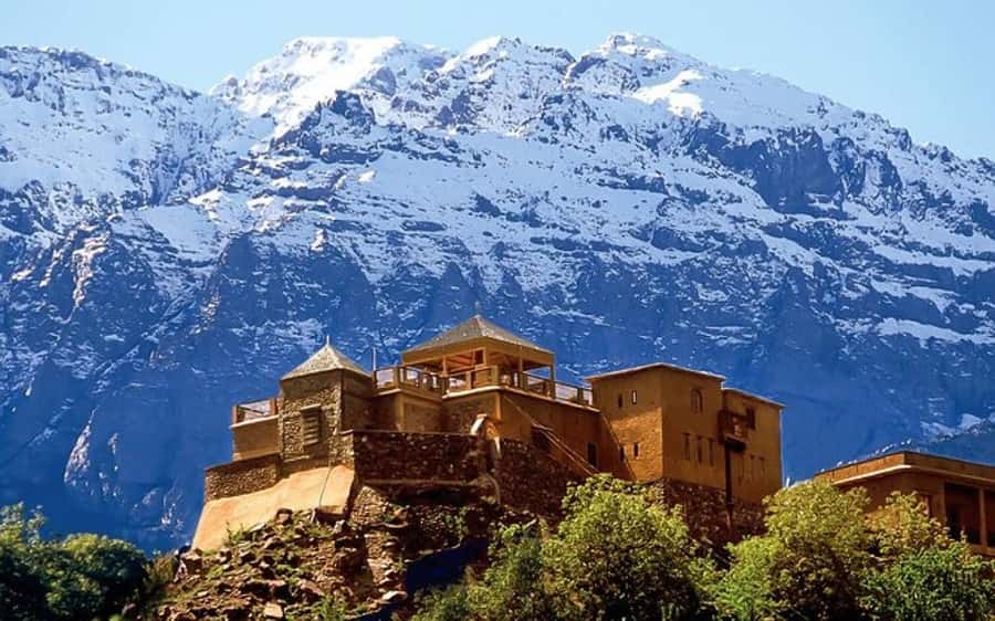 Marrakech: Berber Spa and Traditional Hammam with Steam Room - Key things to know before you go