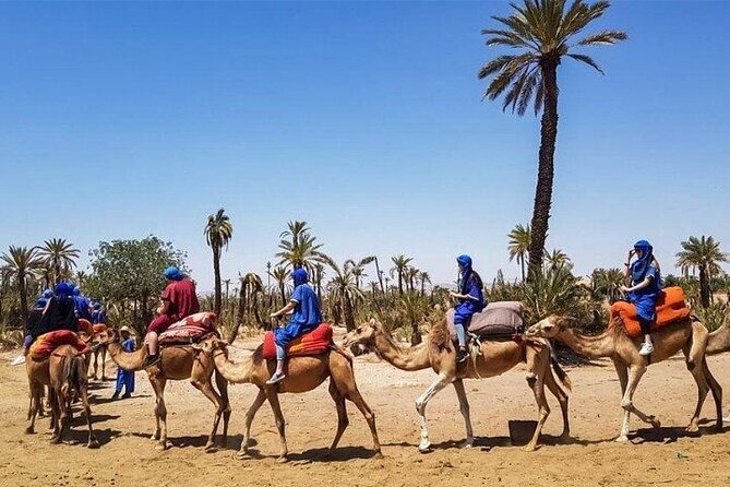 Marrakech Best Day Trip from Casablanca - Jemaa el-Fnaa Square, sensory overload done the smart way