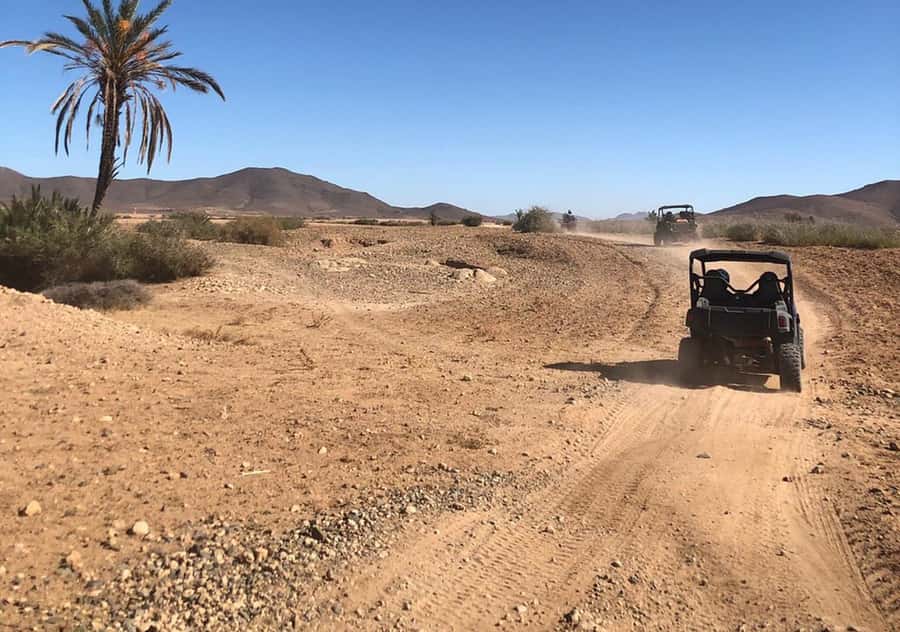 Marrakech: Buggy Experience at Palmeraie with Hotel Pickup - The hotel pickup that sets the tone