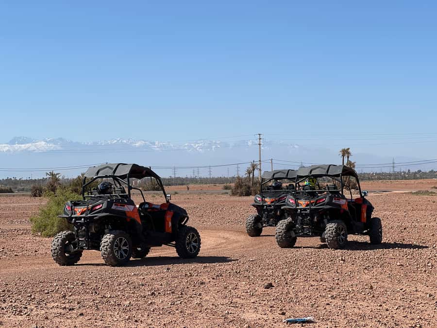 Marrakech Buggy Palmerie and Desert - Tea, palms, and photo stops that actually break up the driving