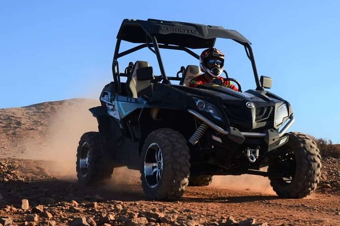 Marrakech: Buggy Tour in the Palmgroves - Key Points Before You Go