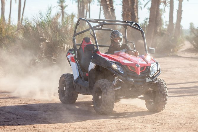 Marrakech: Buggy Tour in the Palmgroves - Pace, Group Size, and Why a Max of 10 Feels Better