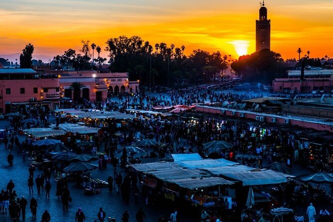 Marrakech by Night Tour - Price and Value: Why $33.82 Can Be a Smart First Night
