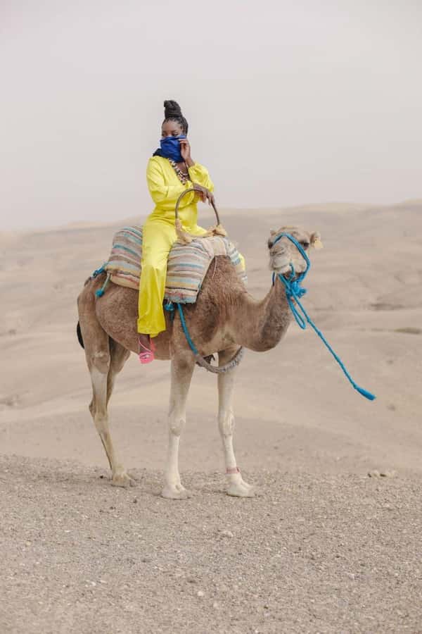 Marrakech: Camel & Quad Bike Tour with Sunset, Dinner & Show - Key things to know before you go