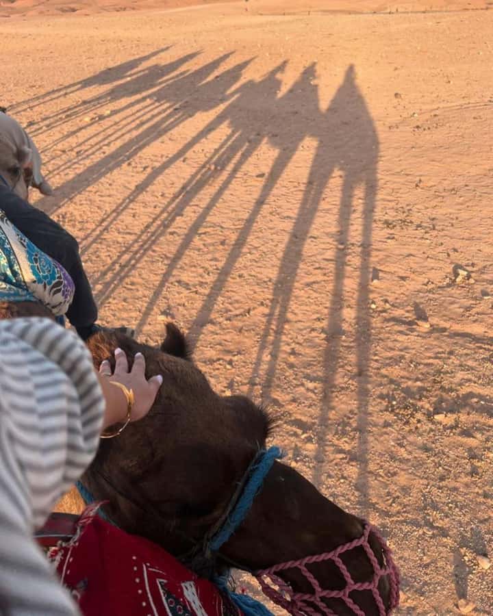 Marrakech: Camel & Quad Bike Tour with Sunset, Dinner & Show - From the Medina to Agafay, with an argan oil stop that makes it feel real