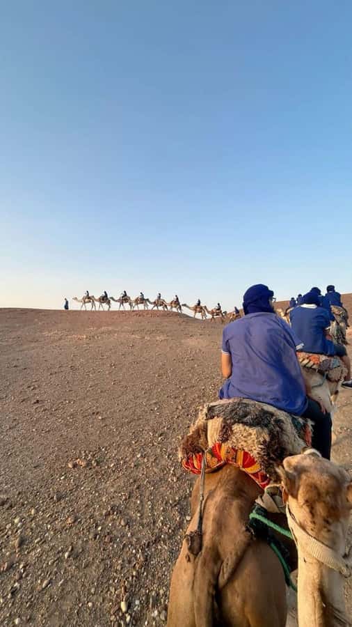 Marrakech: Camel & Quad Bike Tour with Sunset, Dinner & Show - Who should book, and who should skip this desert quad and camel tour