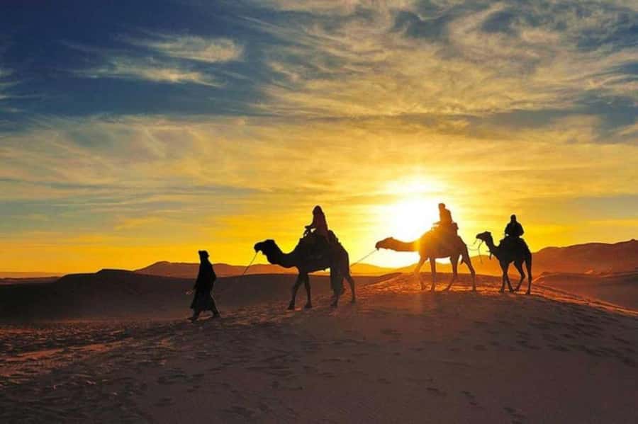 Marrakech: Camel & Quad Bike Tour with Sunset, Dinner & Show - The quad bike ride is the main event, and it is set up for fun and comfort