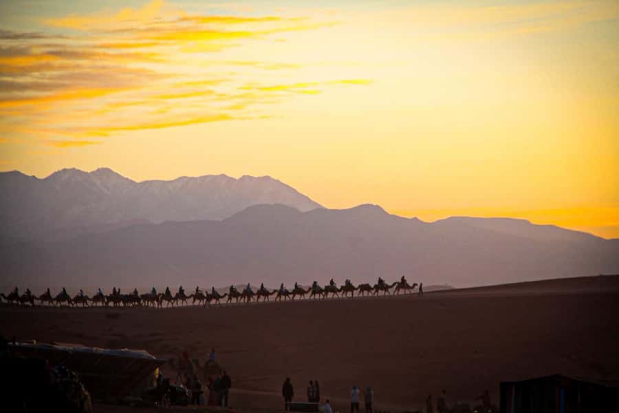 Marrakech: Camel Ride, Dinner, Pool, and Fire Show in Agafay - Live traditional music and drumming: where the night turns social