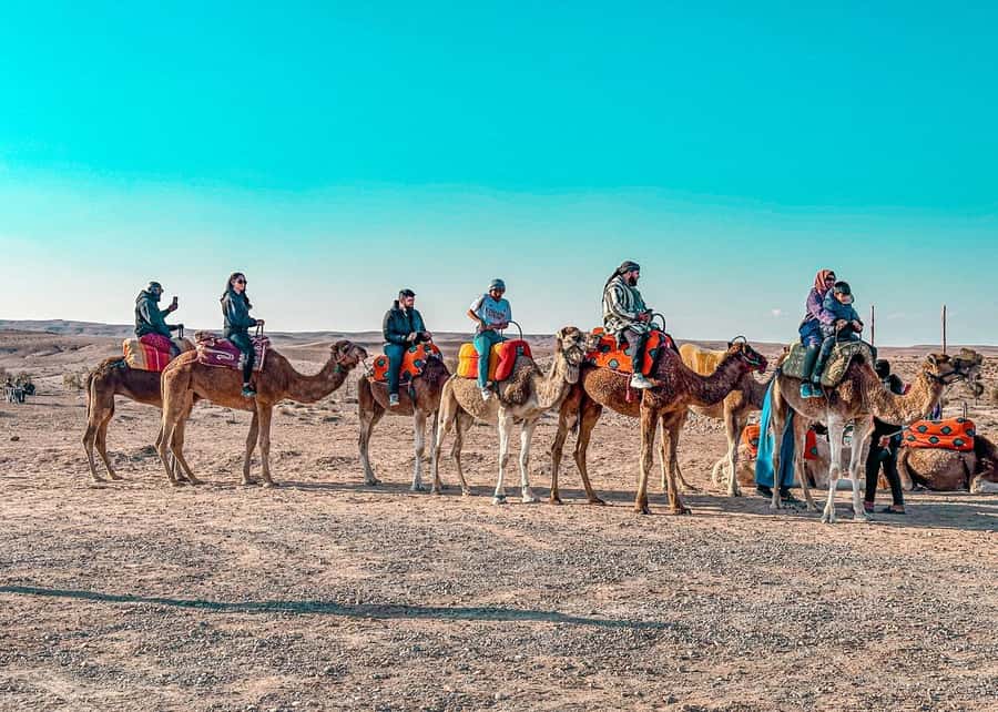 Marrakech: Camel Ride, Dinner, Pool, and Fire Show in Agafay - Pickup and timing: how the evening actually comes together