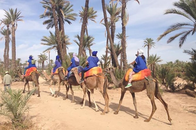 Marrakech Camel Ride Experience with Pick-up - Wearing the Cheich: Small Cloth, Big Cultural Impact