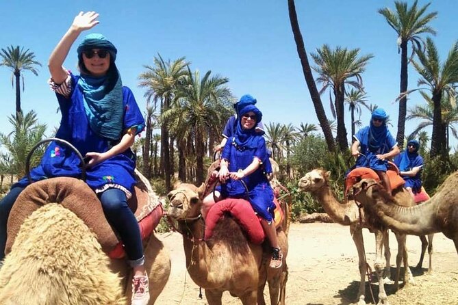 Marrakech Camel Ride in Palmeraie - Key Highlights You Will Care About