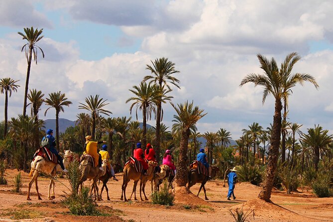 Marrakech Camel Ride in Palmeraie - The Oasis Palmeraie Camel Ride: Why This One Works