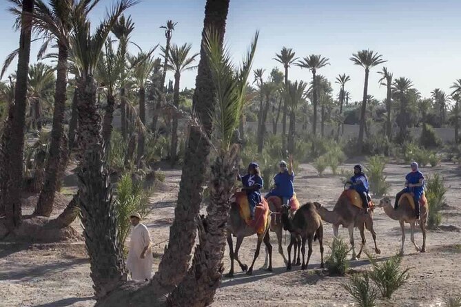 Marrakech Camel Ride in Palmeraie - Village Visits and Mint Tea in a Nomadic Area