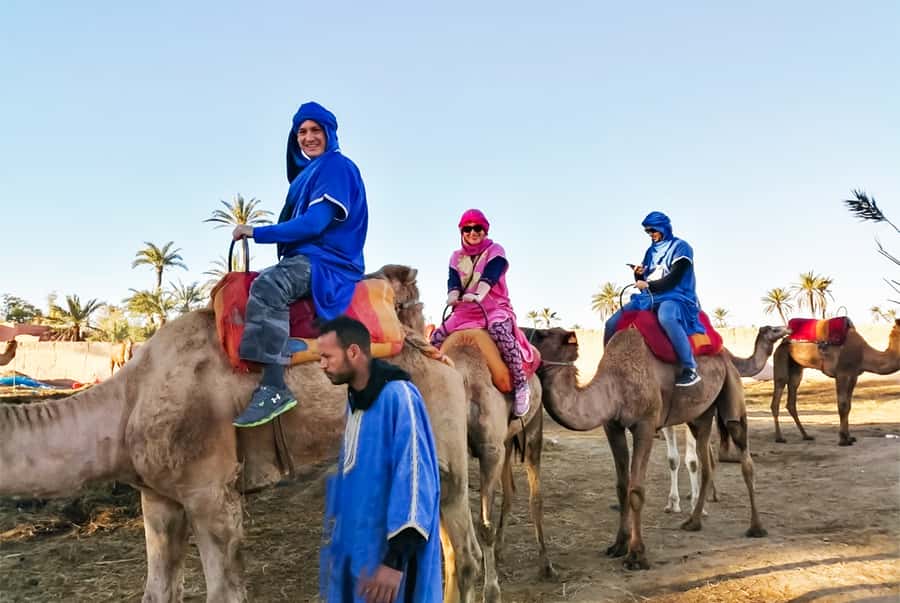 Marrakech: Camel Ride in the Oasis Palmeraie - Hassan II Mosque in Casablanca: what that highlight means for your day