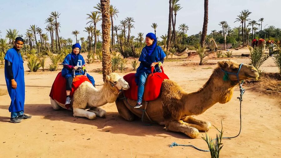 Marrakech: Camel Ride in the Oasis Palmeraie - Mounting up: traditional outfits and camel handling that keeps it calm