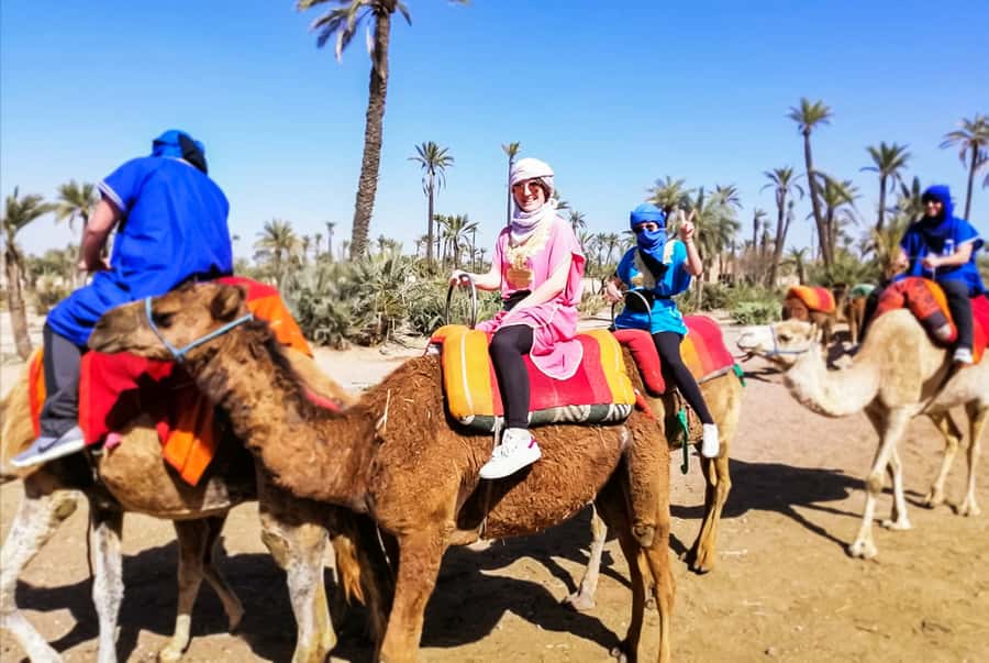 Marrakech: Camel Ride in the Oasis Palmeraie - The heart of the experience: 1 hour through Oasis Palmeraie