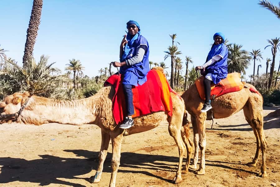 Marrakech: Camel Ride in the Oasis Palmeraie - Village life and the nomadic tea stop that changes the mood
