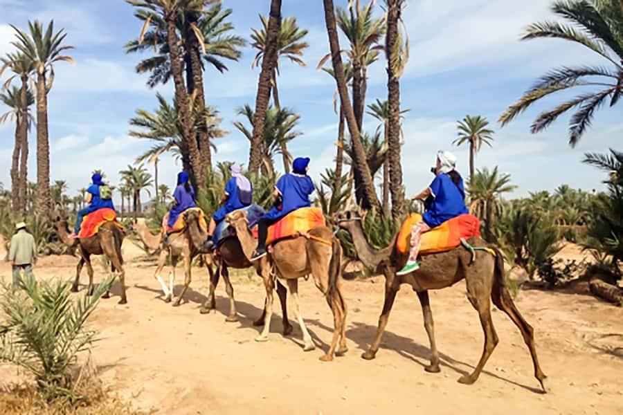 Marrakech: Camel Ride in the Oasis Palmeraie - Guides who do more than point: humor, patience, and photos