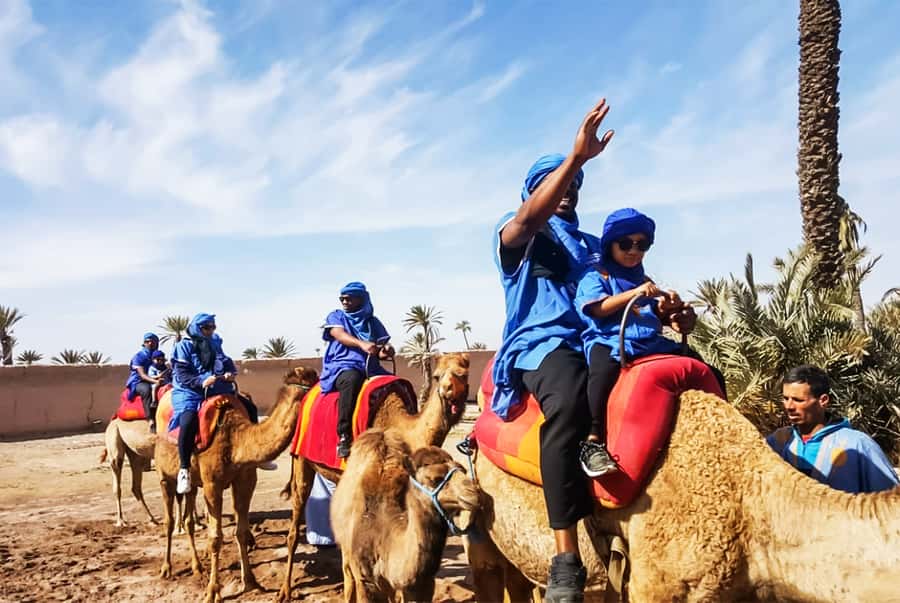 Marrakech: Camel Ride in the Oasis Palmeraie - Timing, comfort, and what to bring so the ride feels easy