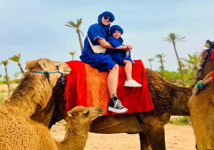 Marrakech: Camel Ride in the Oasis Palmeraie - Pickup and the shared-tour reality in Marrakesh