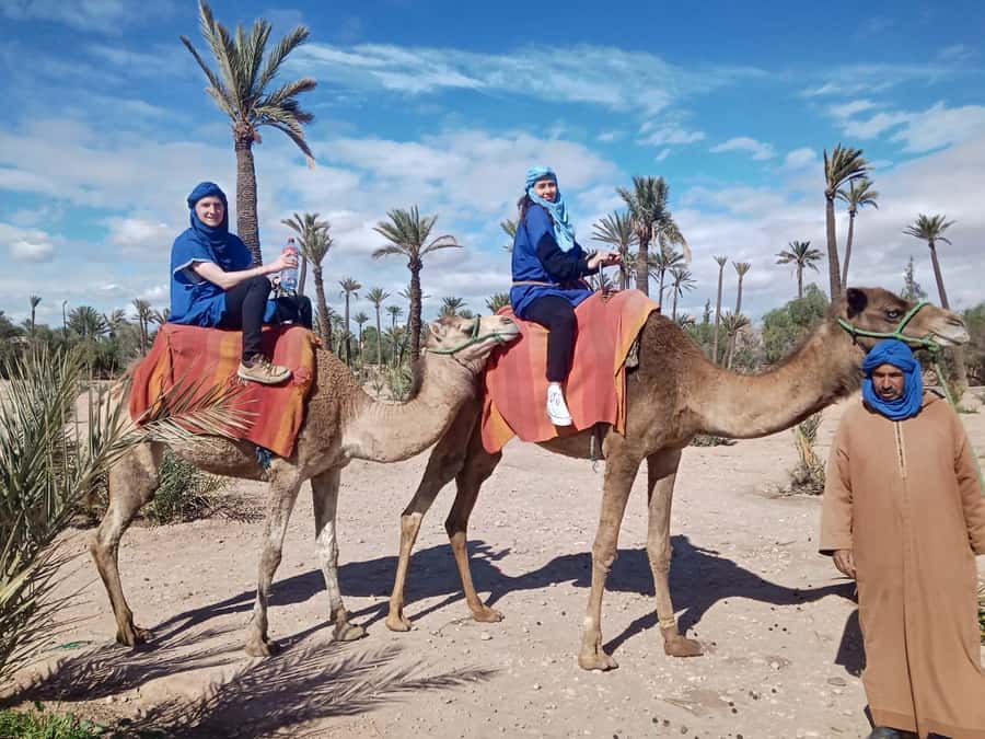 Marrakech camel ride in the palm grove - Key takeaways before you book