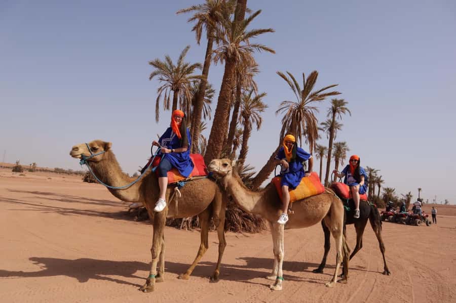 Marrakech camel ride in the palm grove - Camel ride value in Marrakech: is it worth $40?