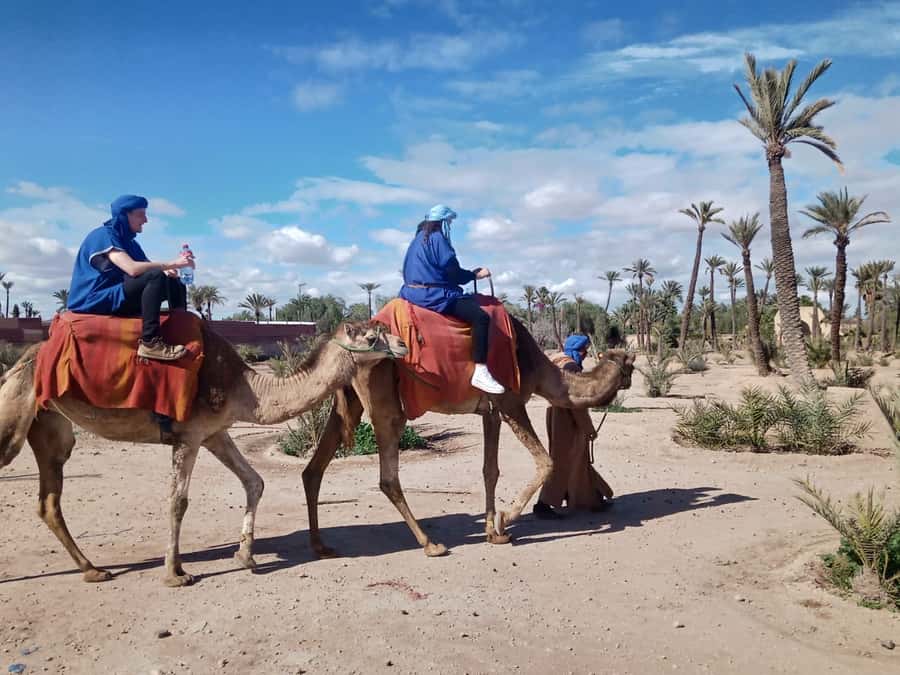 Marrakech camel ride in the palm grove - Tuareg scarf and gandora: why the outfit matters beyond photos